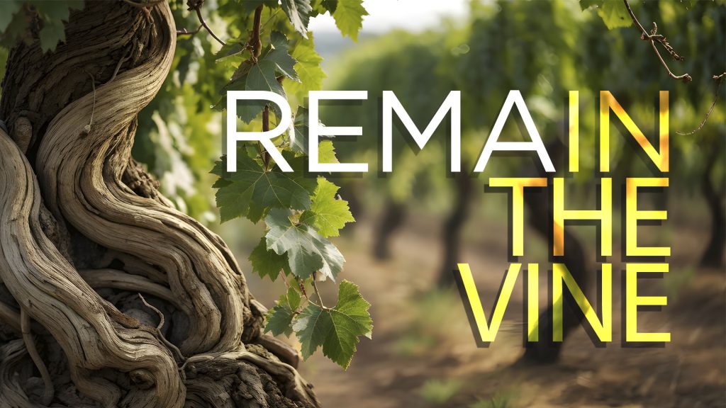Remain in the Vine